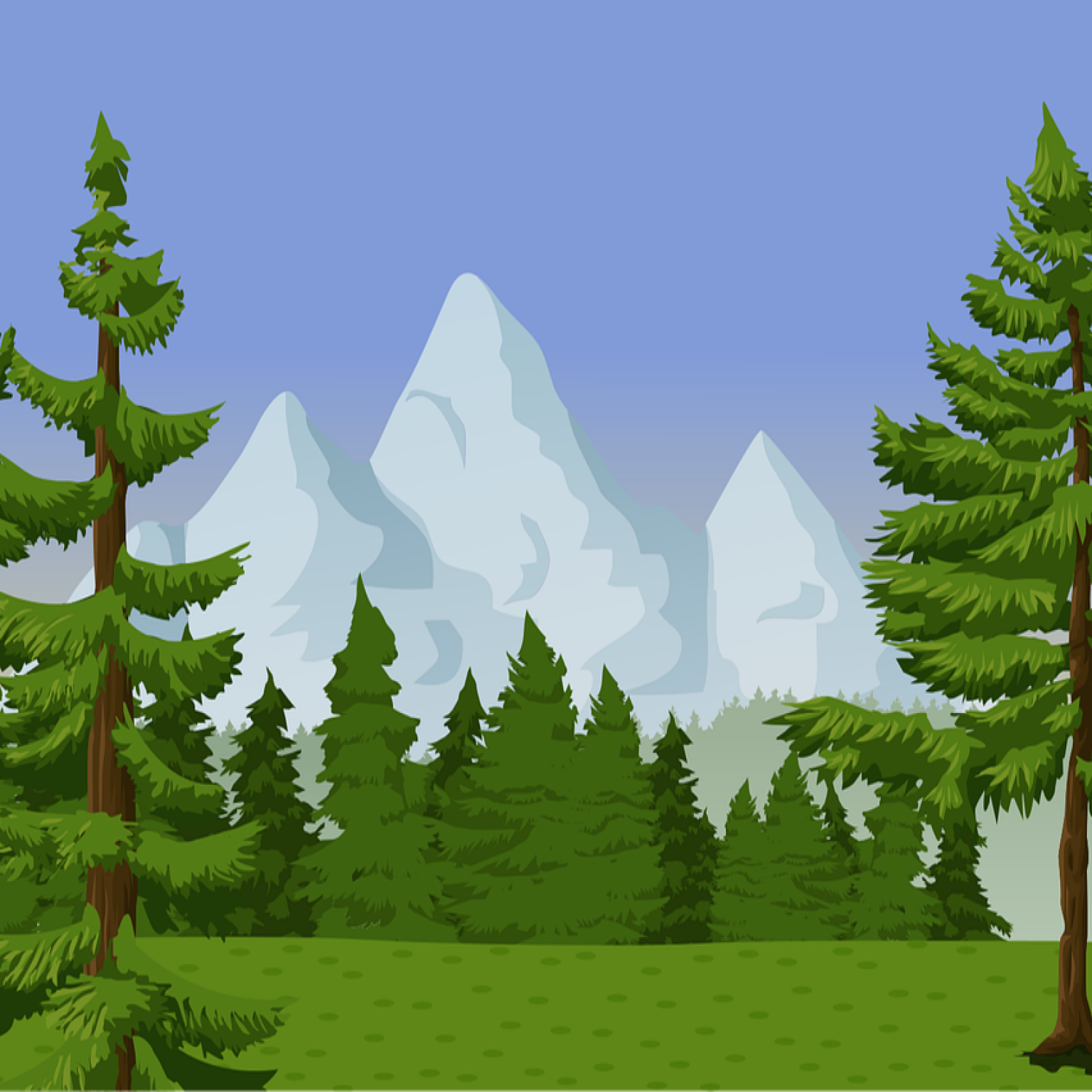 evergreen-2025158_1280